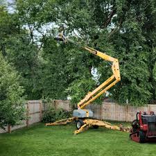 Best Stump Grinding and Removal  in Green Village, NJ