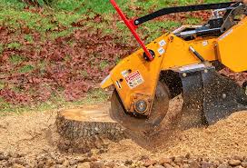 Best Commercial Tree Services  in Green Village, NJ