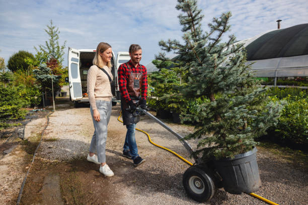 Best Tree Disease Treatment  in Green Village, NJ